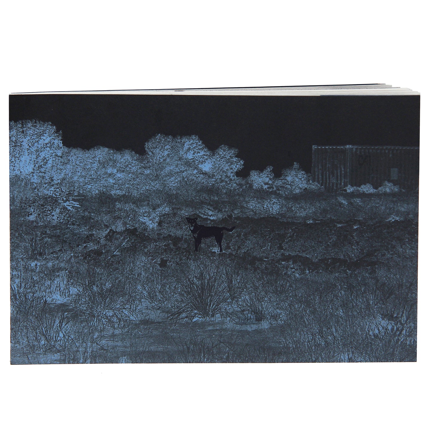 CON CHO PHOTOBOOK