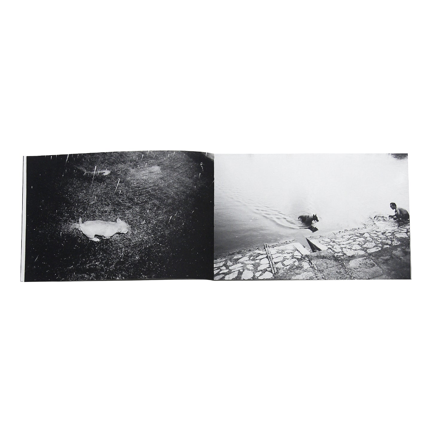 CON CHO PHOTOBOOK