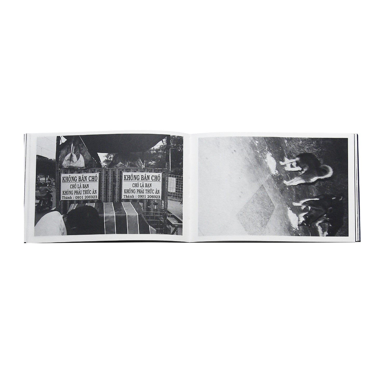 CON CHO PHOTOBOOK